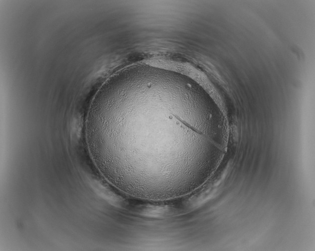 X0000110870458200906181206