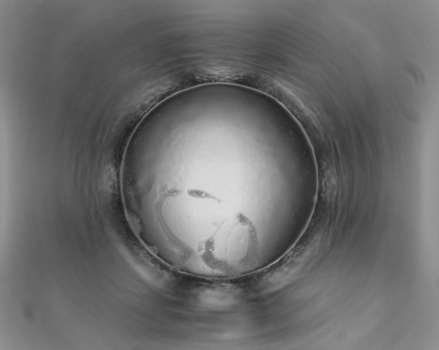 X0000110870459200906181206