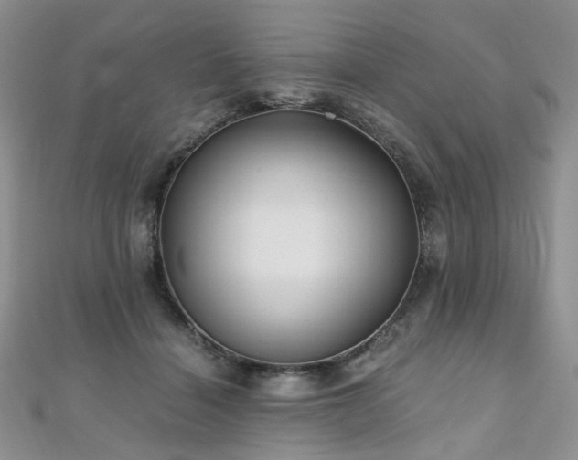 X0000110870460200906181206