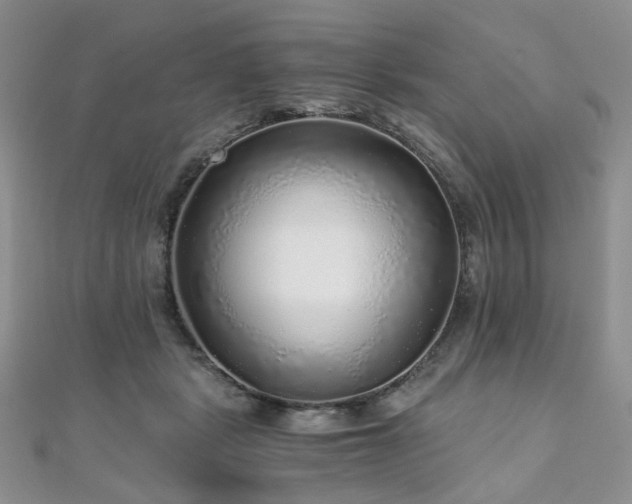 X0000110870461200906181206