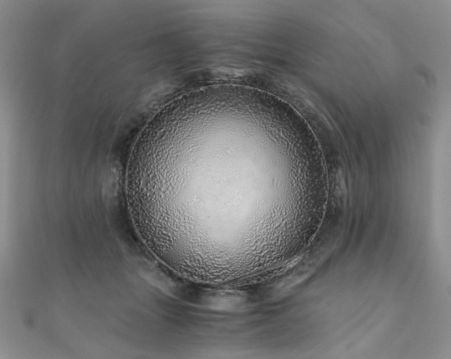 X0000110870463200906181206