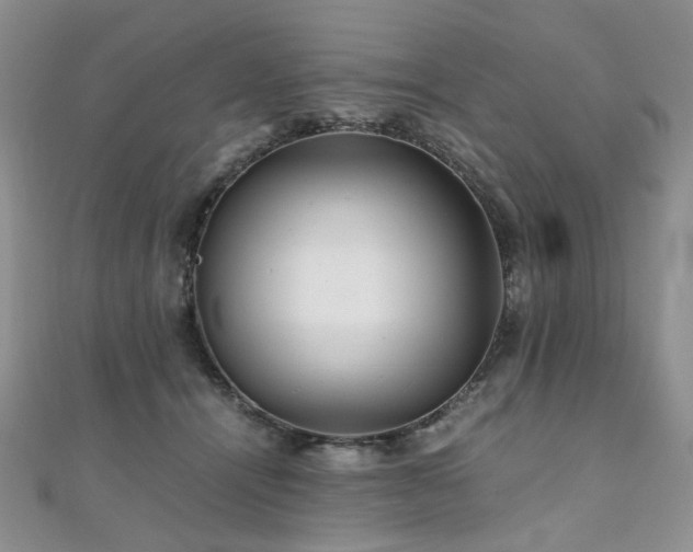 X0000110870464200906181206