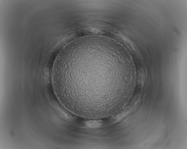 X0000110870465200906181206