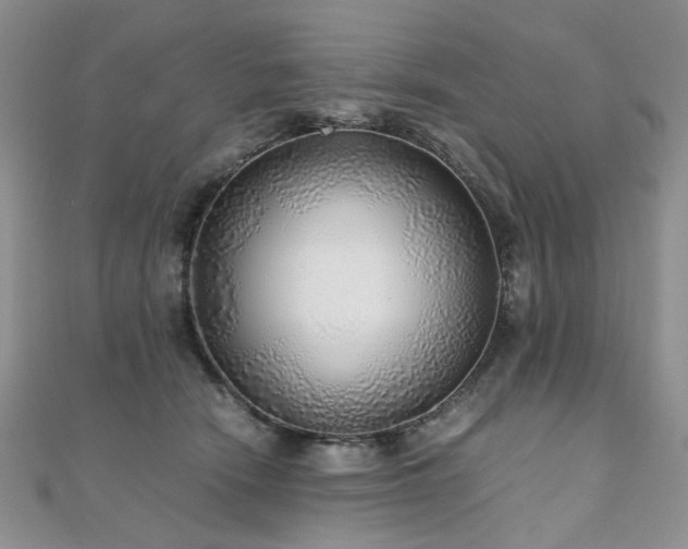 X0000110870466200906181206