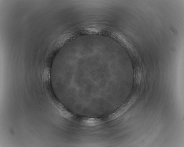 X0000110870467200906181206