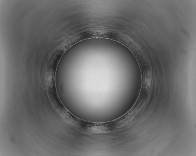 X0000110870468200906181206