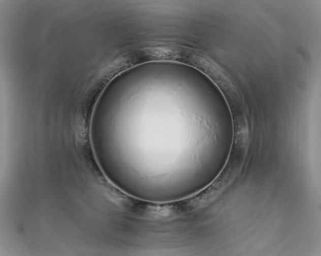 X0000110870469200906181206