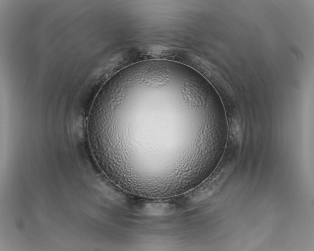 X0000110870470200906181206