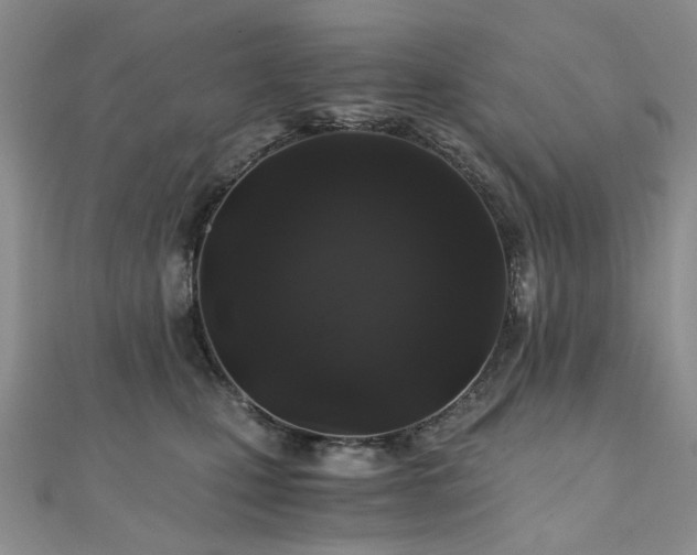 X0000110870471200906181206