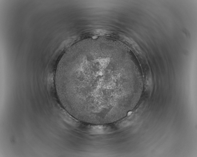 X0000110870473200906181206