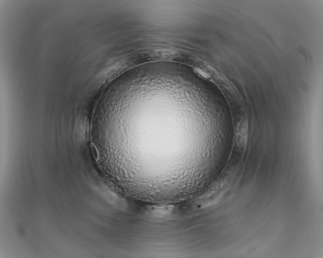 X0000110870474200906181206