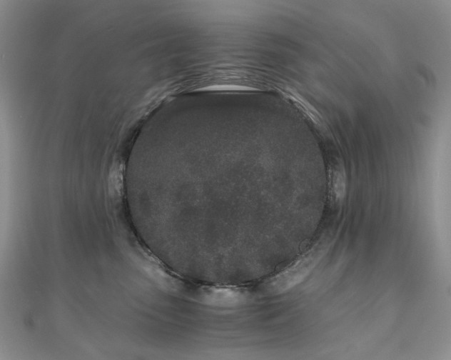 X0000110870475200906181206