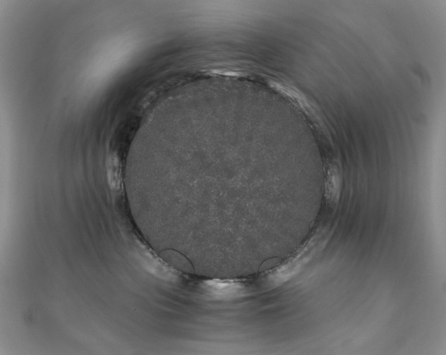 X0000110870477200906181206