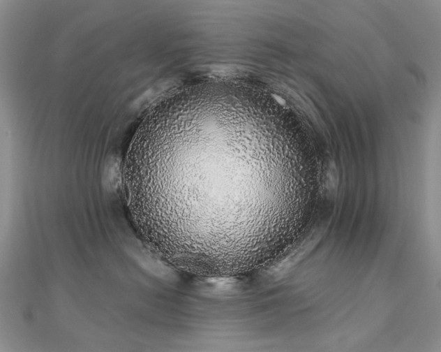 X0000110870478200906181206