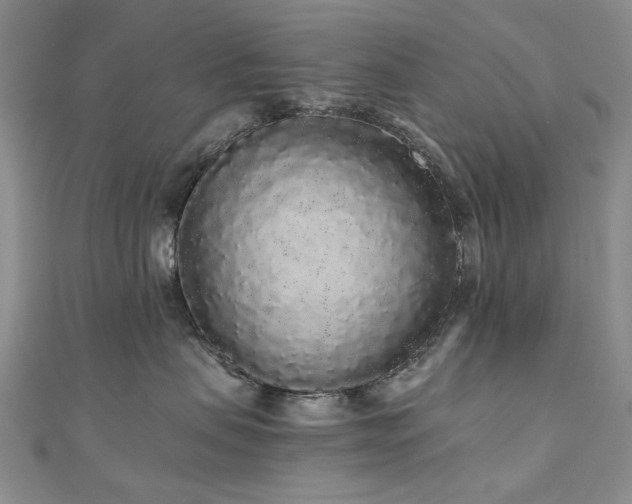 X0000110870479200906181206