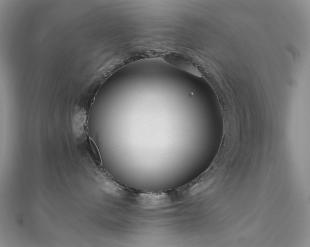 X0000110870480200906181206