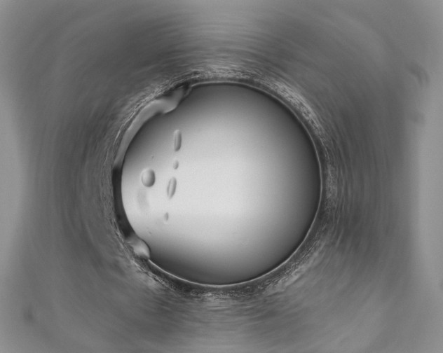 X0000110870481200906181205