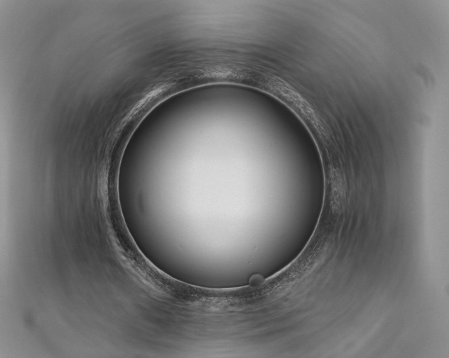 X0000110870482200906181205