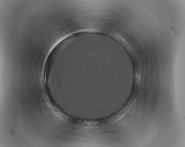 X0000110870484200906181205