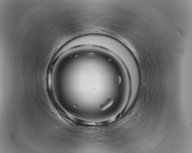 X0000110870485200906181205