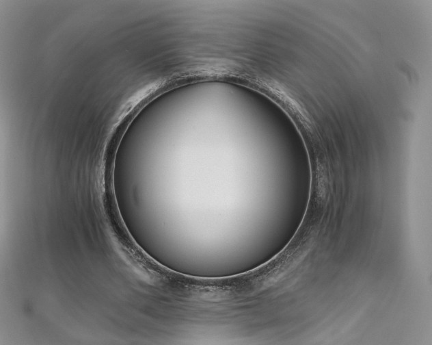 X0000110870486200906181205