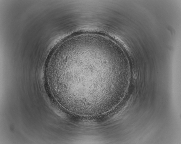 X0000110870487200906181205