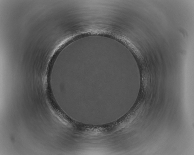 X0000110870488200906181205