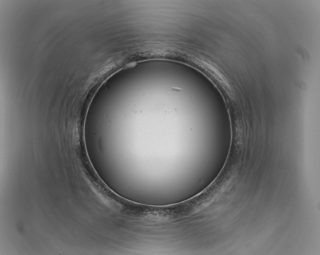 X0000110870489200906181205