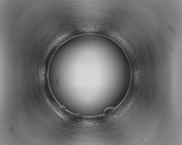 X0000110870490200906181205