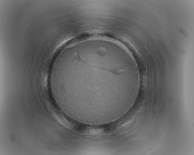 X0000110870491200906181205