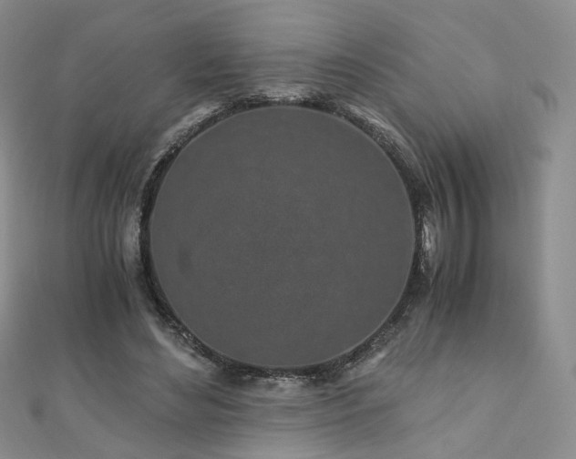 X0000110870492200906181205