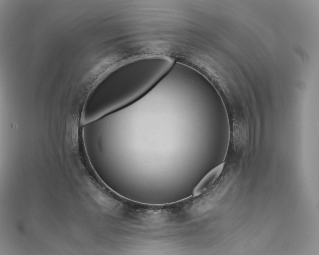 X0000110870493200906181205