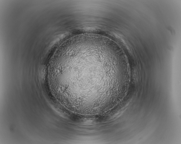 X0000110870495200906181205