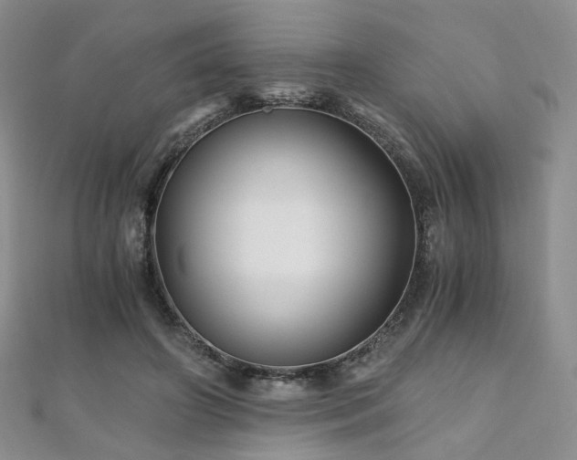 X0000110870498200906181205