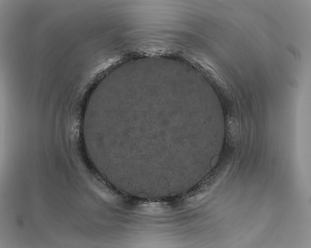 X0000110870499200906181205