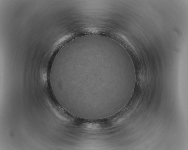 X0000110870500200906181205