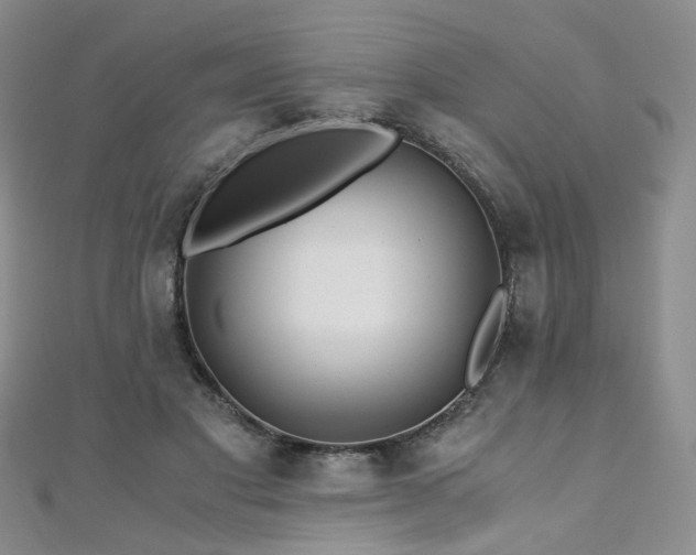 X0000110870501200906181205