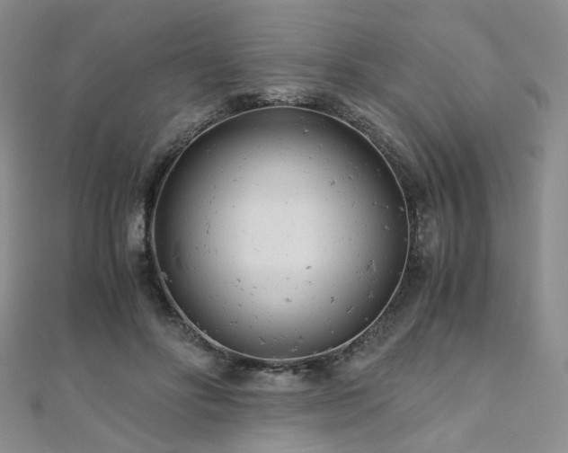 X0000110870502200906181205