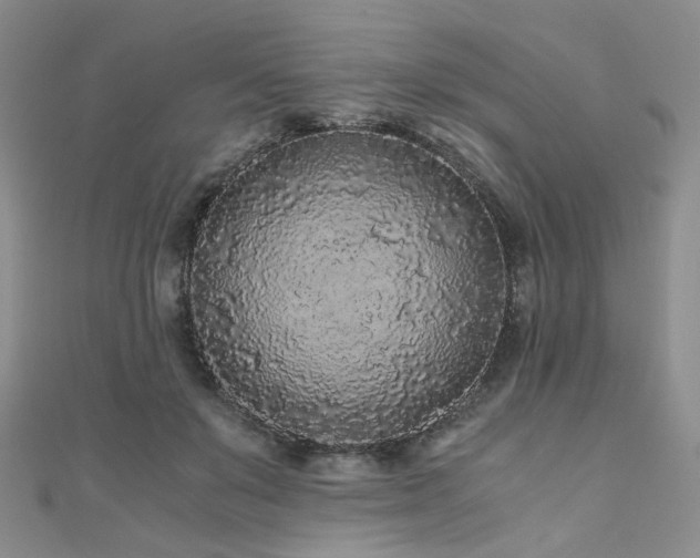 X0000110870503200906181205