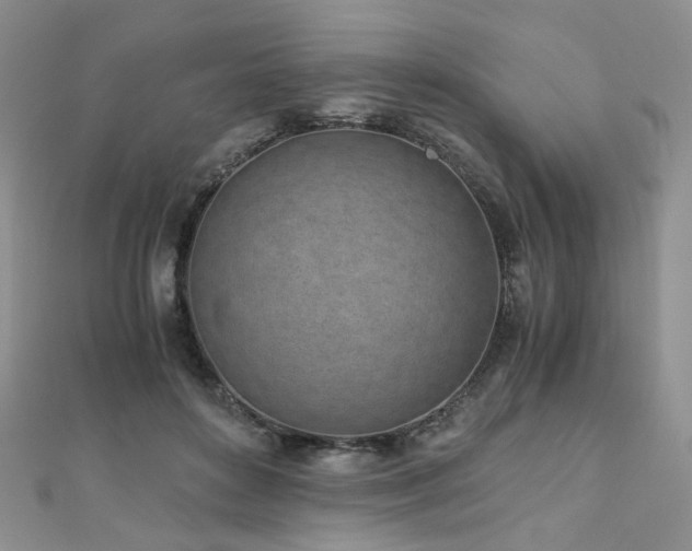 X0000110870504200906181205