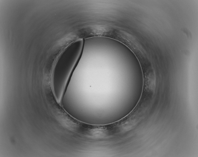 X0000110870505200906181205