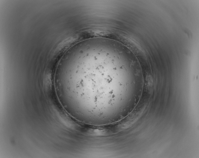 X0000110870506200906181205