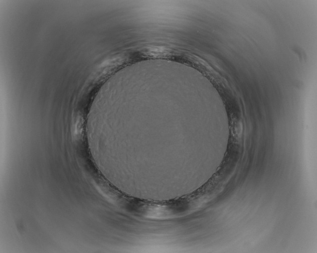 X0000110870507200906181205