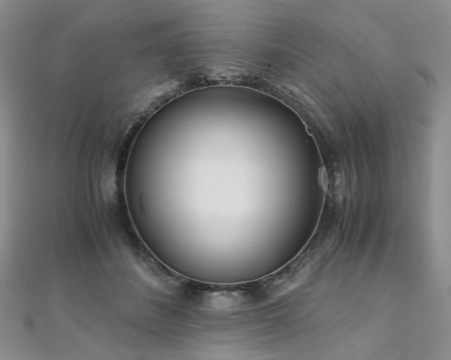 X0000110870508200906181205