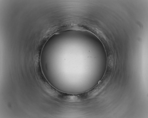 X0000110870509200906181205