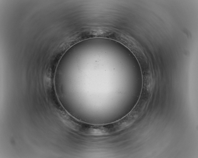 X0000110870510200906181205