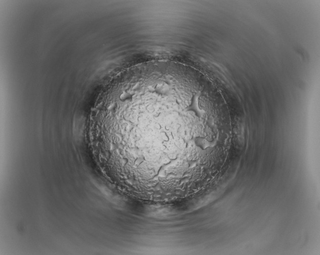 X0000110870511200906181205