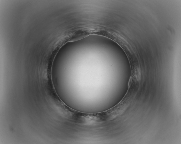 X0000110870512200906181205