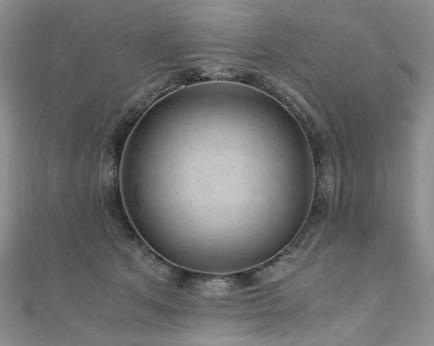 X0000110870513200906181205