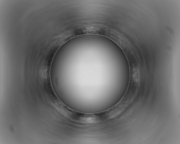 X0000110870514200906181205